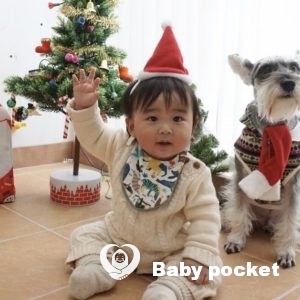 ロシナンテ君⭐入籍のご報告