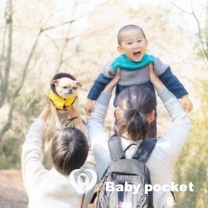 ぽぽんたくん3歳のご報告