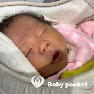 ⭐家族が増えました⭐