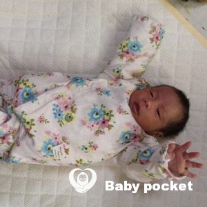 ⭐家族が増えました⭐