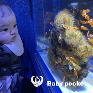 ジェシーちゃん💕初節句のお祝い🎵