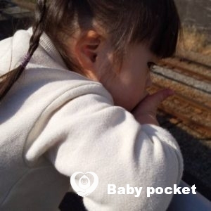 あんずちゃん4歳になりました