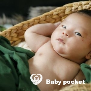 ガーネットくんのお宮参りと初予防接種のご報告