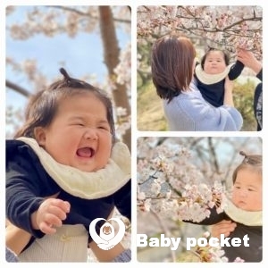 〜オリーブちゃん ハーフバースデイのご報告〜