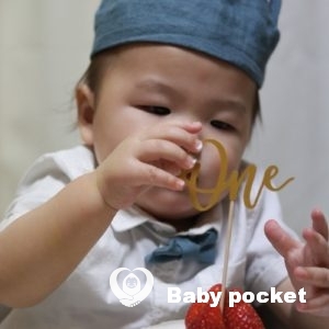 しろくま君⭐一歳になりました