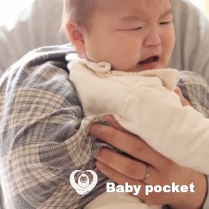 しろくま君⭐一歳になりました