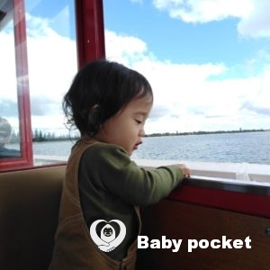 アズーラちゃん 一歳の誕生日のご報告