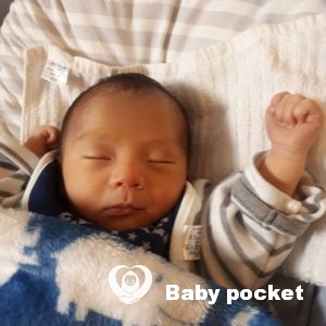 あるぴ君をお迎えしました