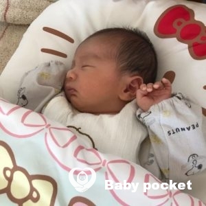 トム君をお迎えしました