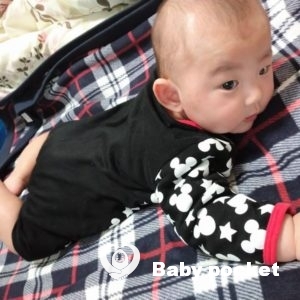 のっぽくん 生後4ヶ月になりました!