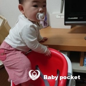 るのんちゃん 8ヶ月になりました