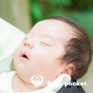 チンプイ君 お宮参りのご報告