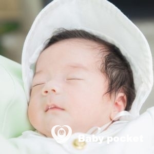 チンプイ君 お宮参りのご報告