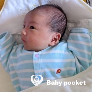 トム君 お宮参りのご報告