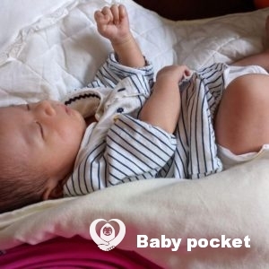 トム君 お宮参りのご報告