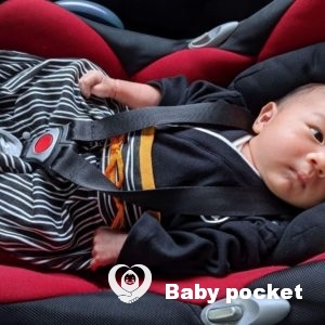 トム君 お宮参りのご報告