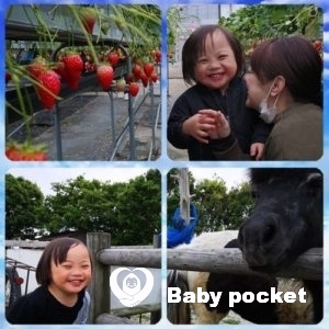 プルメリア家🌟モルト君1歳のご報告とアイラ君の近況。