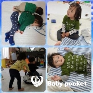 プルメリア家🌟モルト君1歳のご報告とアイラ君の近況。