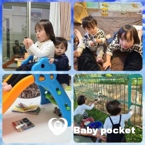 プルメリア家🌟モルト君1歳のご報告とアイラ君の近況。