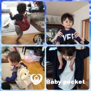 プルメリア家🌟モルト君1歳のご報告とアイラ君の近況。