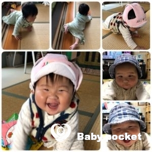 きじとら君の入籍&初節句のご報告 ~9か月~