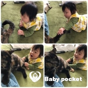 きじとら君の入籍&初節句のご報告 ~9か月~