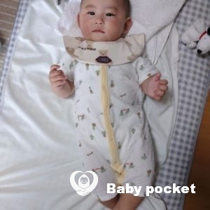 のっぽくん 初節句のお祝い