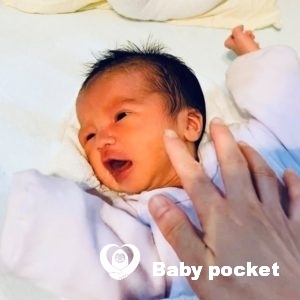 白(ハク)ちゃん⭐お迎え