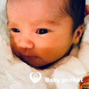 白(ハク)ちゃん⭐お迎え