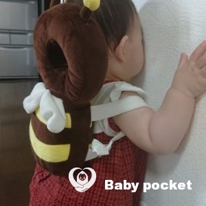 るのんちゃん 9ヶ月になりました