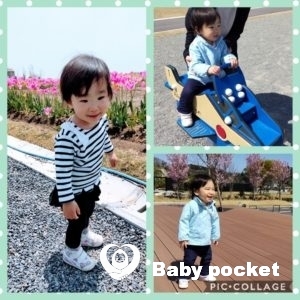 ブルーベリーちゃん 2歳のご報告