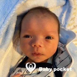 せぶん君をお迎えしました