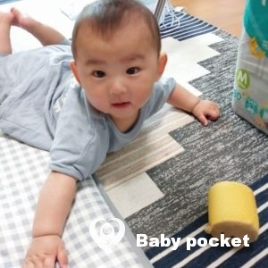 のっぽくん🌟ハーフバースデー