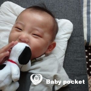 のっぽくん🌟ハーフバースデー