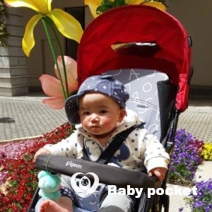 愛逢月ちゃん⭐入籍のご報告