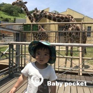 ぼのぼのくん 2歳のご報告