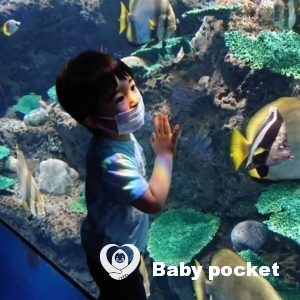 カムリ君🌟3歳のご報告