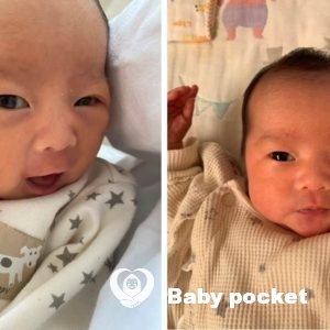 エルピスちゃんをお迎えしました