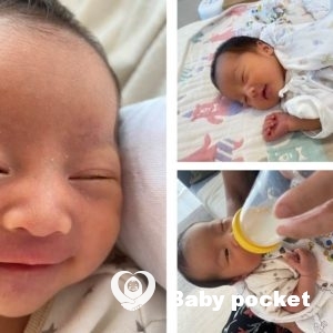 エルピスちゃんをお迎えしました