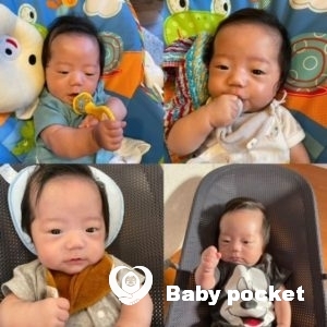 チンプイ君お食い初めと生後4か月のご報告