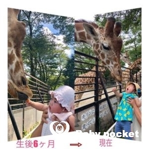 ミラコロちゃん🌟2歳6ヶ月のご報告