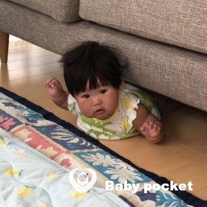 すももちゃん 入籍のご報告