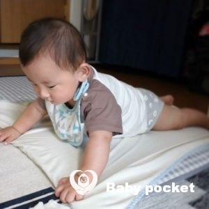 のっぽくん🌟生後7か月のご報告