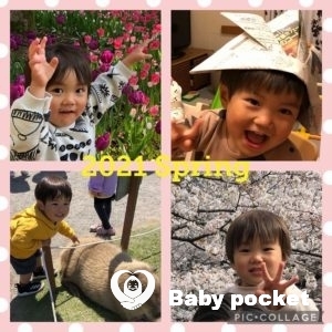 エール君⭐3歳になりました⭐