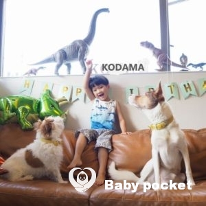 こだまくん⭐5歳になりました!