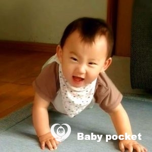 のっぽくん 生後8ヶ月になりました