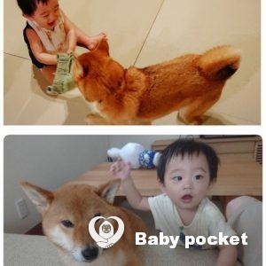 カウル君10ヶ月の成長報告