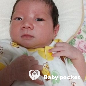 パナちゃんをお迎えしました。