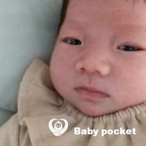 パナちゃんをお迎えしました。