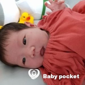 パナちゃんをお迎えしました。